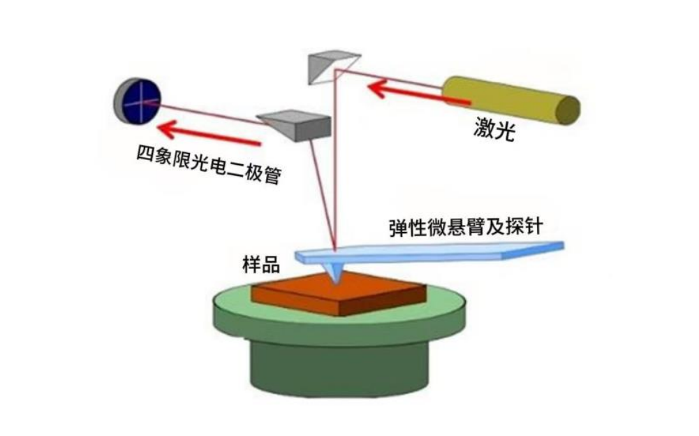 原子力显微镜（AFM）基础知识